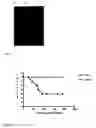 Fig. 02 - Recombinant poly-glutamic acid depolymerases