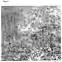 Fig. 06 - Compositions for promoting wound healing and treating psoriasis