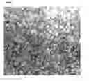 Fig. 08 - Compositions for promoting wound healing and treating psoriasis