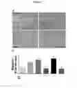 Fig. 08 - Compositions and methods for treating ocular diseases and conditions