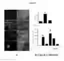 Fig. 09 - Compositions and methods for treating ocular diseases and conditions