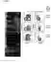 Fig. 08 - SELECTIVE IMMUNODEPLETION OF ENDOGENOUS STEM CELL NICHE FOR ENGRAFTMENT