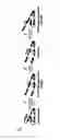 Fig. 04 - Monoclonal antibodies specific for oxidized calcium/calmodulin dependent protein kinase II