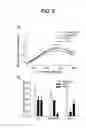 Fig. 05 - Monoclonal antibodies specific for oxidized calcium/calmodulin dependent protein kinase II