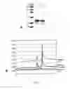 Fig. 02 - HYPOALLERGENIC PROTEINS