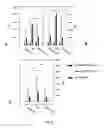 Fig. 04 - HYPOALLERGENIC PROTEINS