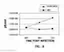 Fig. 07 - Cellular and viral inactivation