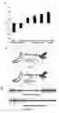 Fig. 09 - Insect repellent and attractants