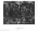 Fig. 04 - Highly compactable and durable direct compression excipients and excipient systems