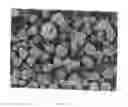 Fig. 07 - Highly compactable and durable direct compression excipients and excipient systems