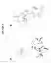 Fig. 06 - Compounds for inhibiting protein aggregation, and methods for making and using them