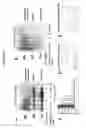 Fig. 08 - Compounds for inhibiting protein aggregation, and methods for making and using them