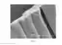 Fig. 04 - Hydrophilic fluoropolymer material