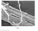 Fig. 08 - Hydrophilic fluoropolymer material