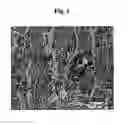 Fig. 02 - Welding trip steels
