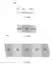 Fig. 06 - HIGH PERFORMANCE SULFUR-BASED DRY POLYMER ELECTRODES