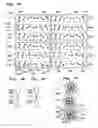 Fig. 06 - Flare-measuring mask, flare-measuring method, and exposure method