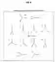 Fig. 07 - Particle adhesion assay for microfluidic bifurcations
