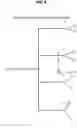 Fig. 09 - Particle adhesion assay for microfluidic bifurcations