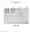Fig. 08 - DETECTION OF IMMOBILIZED NUCLEIC ACID