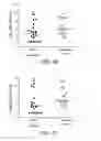 Fig. 05 - Diagnosing pneumococcal pneumonia