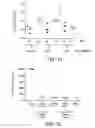 Fig. 09 - Diagnosing pneumococcal pneumonia