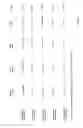 Fig. 04 - Diagnosis of preeclampsia