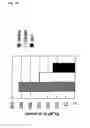 Fig. 07 - Method of screening substance useful in treating disease with the use of GPR40 and phospholipase