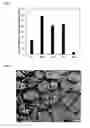 Fig. 06 - METHOD OF PRODUCING POLYSACCHARIDES FROM COFFEE BEANS OR/AND COFFEE EXTRACTION RESIDUE