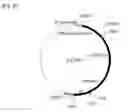 Fig. 09 - Method of producing lycopene using recombinant 