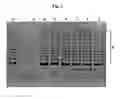 Fig. 07 - Embryonic stem cell-like cells