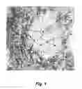 Fig. 02 - METHOD AND MEANS FOR PREDICTION OF SYSTEMIC LUPUS ERYTHEMATOSUS SUSCEPTIBILITY