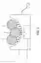 Fig. 04 - Wireless-Charged Acousto-Optic Gulf Ball