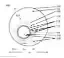 Fig. 01 - Superconductive multi-phase cable system, a method of its manufacture and its use