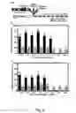 Fig. 06 - STOCHASTIC CONFINEMENT TO DETECT, MANIPULATE, AND UTILIZE MOLECULES AND ORGANISMS