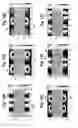 Fig. 08 - Grating-based sensor combining label-free binding detection and fluorescence amplification and readout system for sensor