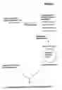 Fig. 07 - Method For Generating and Selecting Antibodies Against Target Protein