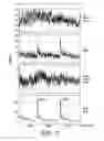 Fig. 03 - Rapid Genotyping of SNPs