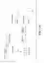 Fig. 19 - Rapid Genotyping of SNPs
