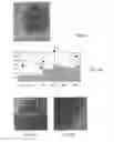 Fig. 08 - Fullerene-like nanostructures, their use and process for their production