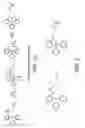 Fig. 03 - USE OF THE STAUDINGER LIGATION IN IN VIVO ASSEMBLY OF A BIOLOGICALLY ACTIVE COMPOUND