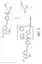 Fig. 06 - USE OF THE STAUDINGER LIGATION IN IN VIVO ASSEMBLY OF A BIOLOGICALLY ACTIVE COMPOUND