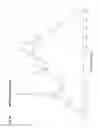 Fig. 02 - Motilide polymorphs