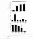 Fig. 14 - C-substituted diindolylmethane compositions and methods for the treatment of multiple cancers