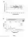 Fig. 02 - DIAGNOSTIC, PROGNOSTIC AND TREATMENT METHODS
