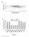 Fig. 04 - DIAGNOSTIC, PROGNOSTIC AND TREATMENT METHODS