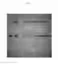 Fig. 02 - Method for purifying protein
