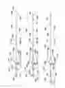 Fig. 06 - Expandable intra-aortic balloon pump sheath