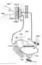 Fig. 01 - Implantable device for external urinary control