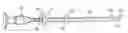 Fig. 01 - Slotted clear cannula